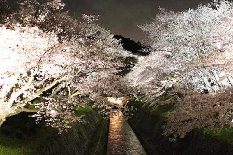 Guest House Hana Otsu Exterior foto